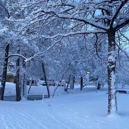 公寓 Halbstueck - Am Kropsbachpark 圣马丁
