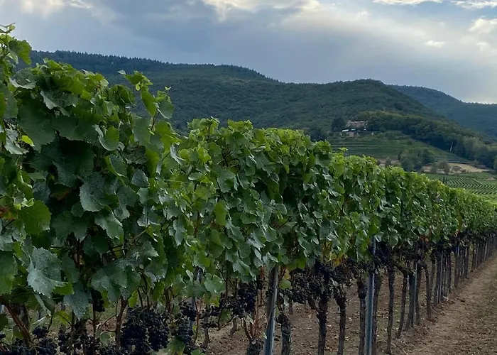 Halbstueck - Am Kropsbachpark * Sankt Martin