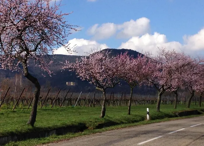 Halbstueck - Am Kropsbachpark Apartamento Sankt Martin