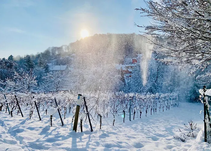 Halbstueck - Am Kropsbachpark Apartamento Sankt Martin